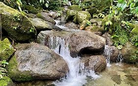 Soplo del Tambo - Naturaleza y Bienestar